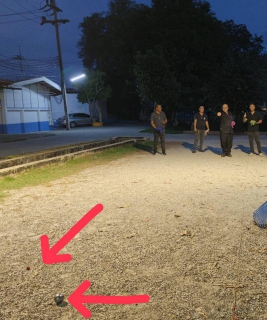 ไฟล์แนบ กปภ.สาขากาญจนบุรี จัดกิจกรรมออกกำลังกาย โดยเล่นกีฬาเปตองและกิจกรรมส่งเสริมสุขภาพอื่นๆ (Sports Day x PWA ปลอดโรค ปลอดภัย กายใจเป็นสุข) เพื่อส่งเสริมสุขภาพพลานามัยที่ดีแก่พนักงานและเจ้าหน้าที่ในสังกัด