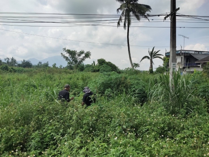 ไฟล์แนบ กปภ.สาขากระบี่ ลงพื้นที่สำรวจหาท่อแตกท่อรั่วเชิงรุก (ALC) บริเวณพื้นที่ บ้านน้ำขาว ตำบลเขาพนม อำเภอเขาพนม จังหวัดกระบี่ 