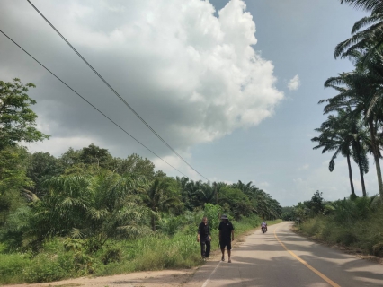 ไฟล์แนบ กปภ.สาขากระบี่ ลงพื้นที่สำรวจหาท่อแตกท่อรั่วเชิงรุก (ALC) บริเวณพื้นที่ บ้านน้ำขาว ตำบลเขาพนม อำเภอเขาพนม จังหวัดกระบี่ 