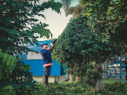 ไฟล์แนบ การประปาส่วนภูมิภาคสาขากุยบุรี จัดกิจกรรม Big Cleaning Day ปรับภูมิทัศน์สำนักงาน ประจำเดือน พฤศจิกายน 2568