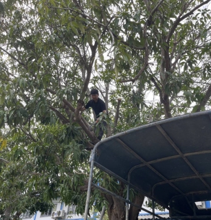 ไฟล์แนบ กปภ.สาขากาญจนบุรี ทำกิจกรรมบำรุงรักษาระบบไฟฟ้าแสงสว่างบริเวณของสถานีจ่ายน้ำเขาหัวล้านและบ้านพักพนักงาน