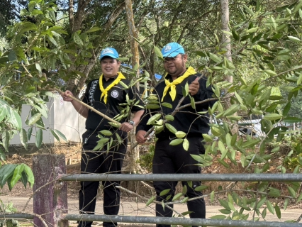 ไฟล์แนบ กปภ.สาขาหลังสวน เข้าร่วมกิจกรรมจิตอาสาบำเพ็ญสาธารณประโยชน์และบำเพ็ญสาธารณกุศล เนื่องในโอกาสวันคล้ายวันสวรรคต พระบาทสมเด็จพระมงกุฎเกล้าเจ้าอยู่หัว และเนื่องในโอกาสวันประสูติ สมเด็จพระเจ้าภคินีเธอ เจ้าฟ้าเพชรรัตนราชสุดา สิริโสภาพัณณวดี