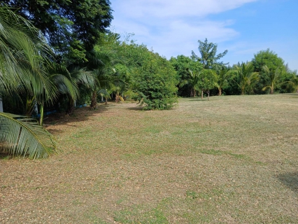 ไฟล์แนบ กปภ.สาขากาญจนบุรี ทำกิจกรรม 5ส. และทำความสะอาดพื้นที่ปฏิบัติงาน สถานีจ่ายน้ำท่าล้อ