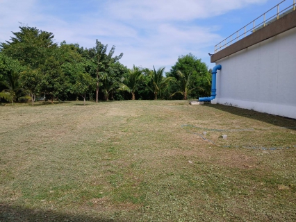 ไฟล์แนบ กปภ.สาขากาญจนบุรี ทำกิจกรรม 5ส. และทำความสะอาดพื้นที่ปฏิบัติงาน สถานีจ่ายน้ำท่าล้อ