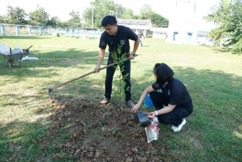 ไฟล์แนบ กปภ.สาขาปักธงชัย จัดโครงการ กปภ.ปลูกป่าเพื่อแผ่นดิน ประจำปี 2569