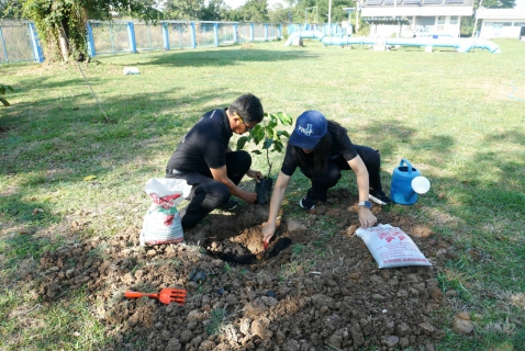 ไฟล์แนบ กปภ.สาขาปักธงชัย จัดโครงการ กปภ.ปลูกป่าเพื่อแผ่นดิน ประจำปี 2569
