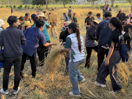 ไฟล์แนบ การประปาส่วนภูมิภาคสาขาแหลมฉบัง เข้าร่วมพิธีเปิดโครงการประเพณีเกี่ยวข้าว ณ เทศบาลแหลมฉบัง 2568