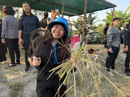 ไฟล์แนบ การประปาส่วนภูมิภาคสาขาแหลมฉบัง เข้าร่วมพิธีเปิดโครงการประเพณีเกี่ยวข้าว ณ เทศบาลแหลมฉบัง 2568