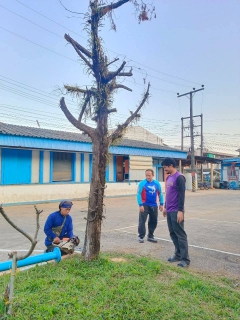 ไฟล์แนบ การประปาส่วนภูมิภาคสาขาแม่สาย  ร่วมกันทำกิจกรรม 5 ส. (Big Cleaning Day) ครั้งที่ 1/2568
