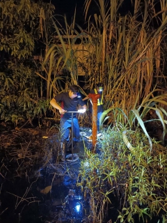 ไฟล์แนบ  กปภ.สาขาปากพนัง ลงพื้นที่เดินสำรวจหาท่อแตก/ท่อรั่ว จากการทำ step test  ตามแผนลดน้ำสูญเสีย บริเวณพื้นที่ DMA-02 บริเวณตรงข้าม กปภ.สาขาปากพนัง ตำบลปากพนังฝั่งตะวันตก อำเภอปากพนัง จังหวัดนครศรีธรรมราช   