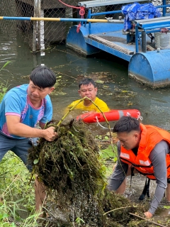 ไฟล์แนบ กปภ.สาขากาญจนบุรี  จัดกิจกรรมจิตอาสาบำเพ็ญสาธารณประโยชน์และบำเพ็ญกุศล เนื่องในวันคล้ายวันพระบรมราชสมภพ พระบาทสมเด็จพระบรมชนกาธิเบศร มหาภูมิพลอดุลยเดชมหาราช บรมนาถบพิตร วันชาติ และวันพ่อแห่งชาติ 5 ธันวาคม 2568