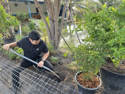 ไฟล์แนบ กปภ.สาขาสมุทรสาคร (พ) ร่วมดำเนินโครงการ ประปานี้มีรัก ปลูกผักกินเอง