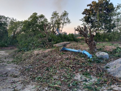 ไฟล์แนบ กปภ.สาขาเทิง จัดกิจกรรม Big Cleaning Day ครั้งที่ 1/2569