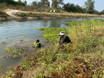 ไฟล์แนบ การประปาส่วนภูมิภาคสาขาเพชรบุรี ร่วมกันกำจัดวัชพืชและผักตบชวาในคลองชลประทาน