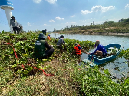 ไฟล์แนบ การประปาส่วนภูมิภาคสาขาเพชรบุรี ร่วมกันกำจัดวัชพืชและผักตบชวาในคลองชลประทาน