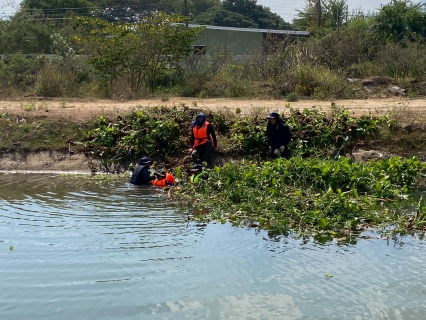 ไฟล์แนบ การประปาส่วนภูมิภาคสาขาเพชรบุรี ร่วมกันกำจัดวัชพืชและผักตบชวาในคลองชลประทาน