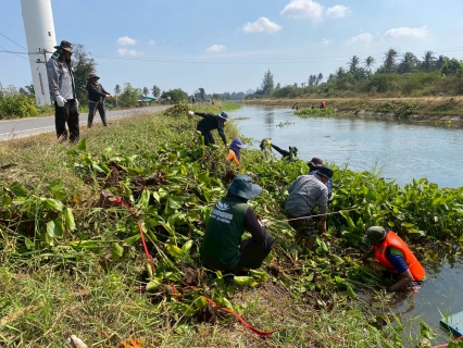 ไฟล์แนบ การประปาส่วนภูมิภาคสาขาเพชรบุรี ร่วมกันกำจัดวัชพืชและผักตบชวาในคลองชลประทาน