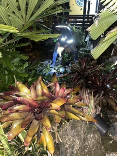 ไฟล์แนบ กปภ.สาขาขนอม ลงพื้นที่ปฏิบัติงานลดน้ำสูญเสีย โดยวิธี Step Test mm-01 บริเวณพื้นโรงกรองน้ำบางคู ต.ควนทอง อ.ขนอม จ.นครศรีธรรมราช ตามแผนปฏิบัติการลดน้ำสูญเสีย