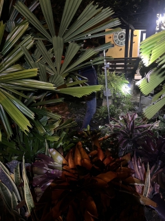 ไฟล์แนบ กปภ.สาขาขนอม ลงพื้นที่ปฏิบัติงานลดน้ำสูญเสีย โดยวิธี Step Test mm-01 บริเวณพื้นโรงกรองน้ำบางคู ต.ควนทอง อ.ขนอม จ.นครศรีธรรมราช ตามแผนปฏิบัติการลดน้ำสูญเสีย