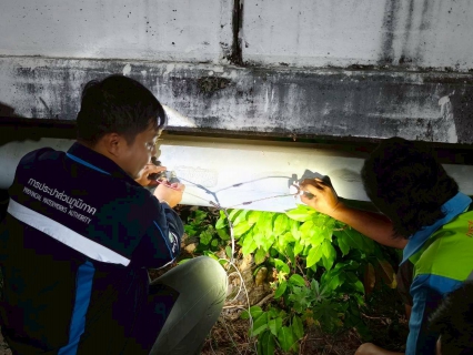 ไฟล์แนบ กปภ.สาขาตะกั่วป่า ดำเนินงานตามแผนบริหารจัดการน้ำสูญเสียเชิงรุก ทำ Step Test ลงพื้นที่เดินเท้าหาท่อแตกรั่ว พร้อมซ่อมปิดจุด เพื่อลดการเกิดน้ำสูญเสีย