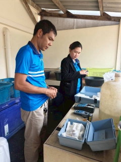 ไฟล์แนบ การประปาส่วนภูมิภาคสาขาระโนด ดำเนินโครงการ "หลอมรวมใจ มอบน้ำใสสะอาดให้โรงเรียน"  เฉลิมพระเกียรติพระบาทสมเด็จพระเจ้าอยู่หัว ประจำปี 2569