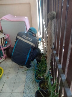 ไฟล์แนบ การประปาส่วนภูมิภาคสาขาภูเก็ต ลงพื้นที่สุ่มอ่านมาตรออนไลน์ ผ่านโปรแกรมระบบการจัดการสุ่มมาตรออนไลน์ ประจำเดือน มกราคม 2569