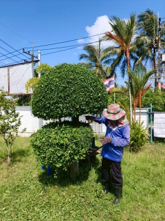 ไฟล์แนบ การประปาส่วนภูมิภาคสาขาระโนด  จัดกิจกรรม 5 ส. (Big Cleaning Day)