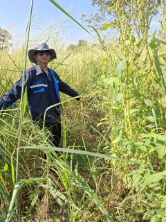 ไฟล์แนบ กปภ.สาขาด่านช้าง ลงพื้นที่ทำกิจกรรมลดน้ำสูญเสียเชิงรุก (ALC)