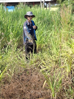 ไฟล์แนบ กปภ.สาขาด่านช้าง ลงพื้นที่ทำกิจกรรมลดน้ำสูญเสียเชิงรุก (ALC)