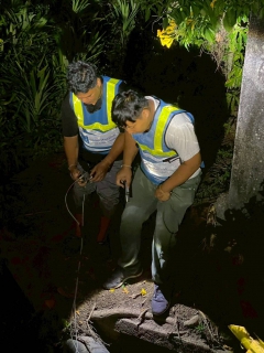 ไฟล์แนบ กปภ.สาขาตะกั่วป่า ดำเนินงานตามแผนบริหารจัดการน้ำสูญเสียเชิงรุก ทำ Step Test ลงพื้นที่เดินเท้าหาท่อแตกรั่ว พร้อมซ่อมปิดจุด เพื่อลดการเกิดน้ำสูญเสีย