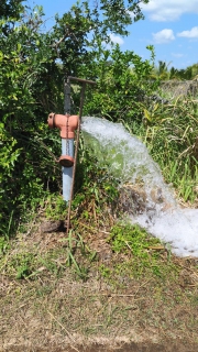 ไฟล์แนบ กปภ.สาขาคลองท่อมดำเนินการเปิดล้างระบายตะกอนในเส้นท่อจ่ายน้ำ (Blow off) ผ่านหัวดับเพลิง