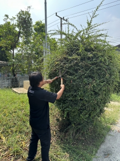 ไฟล์แนบ การประปาส่วนภูมิภาคสาขาเสนา จัดกิจกรรม 5ส. ตามนโยบาย  "หน้าบ้านน่ามอง ในบ้านน่าอยู่ หลังบ้านน่าดู" จังหวัดพระนครศรีอยุธยา