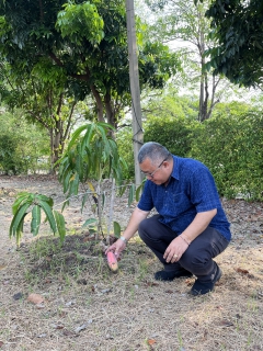 ไฟล์แนบ กปภ.สาขาสมุทรสาคร (พ) สืบสานโครงการ ประปานี้มีรัก ปลูกผักกินเอง อย่างต่อเนื่อง หนุนลดการใช้พลังงานและส่งเสริมเศรษฐกิจพอเพียง