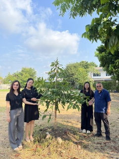 ไฟล์แนบ กปภ.สาขาสมุทรสาคร (พ) สืบสานโครงการ ประปานี้มีรัก ปลูกผักกินเอง อย่างต่อเนื่อง หนุนลดการใช้พลังงานและส่งเสริมเศรษฐกิจพอเพียง