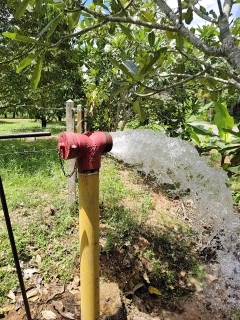 ไฟล์แนบ กปภ.สาขาหลังสวน รักษาคุณภาพน้ำประปาใสสะอาด ดำเนินการตามแผนระบายตะกอนในเส้นท่อ ประจำเดือน มีนาคม 2569 