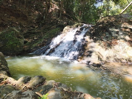 ไฟล์แนบ การประปาส่วนภูมิภาคสาขาคลองท่อมลงพื้นที่​ติดตามสถานการณ์น้ำ บริเวณคลองสินปุน หน่วยบริการลำทับ ตำบลลำทับ อำเภอลำทับ จังหวัดกระบี่