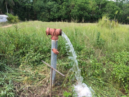 ไฟล์แนบ กปภ.สาขาคลองท่อม นำทีมลงพื้นที่ ตำบลคลองท่อมใต้ อำเภอคลองท่อม จังหวัดกระบี่ ดำเนินการเปิดล้างระบายตะกอนในเส้นท่อจ่ายน้ำ (Blow off) ผ่านหัวดับเพลิง
