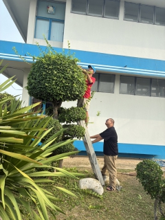 ไฟล์แนบ กปภ.สาขาสามพราน ร่วมกิจกรรมตัดหญ้าและตัดแต่งกิ่งไม้ ปรับปรุงภูมิทัศน์รอบสำนักงาน