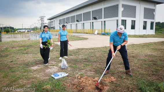 ไฟล์แนบ กปภ.สาขาบ้านฉาง รวมพลังจัดกิจกรรม "กปภ.รักษ์สิ่งแวดล้อม" ปลูกไม้ยืนต้นเพิ่มพื้นที่สีเขียว ณ สถานีสูบน้ำดิบหนองปลาไหล