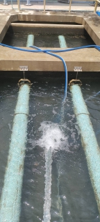 ไฟล์แนบ กปภ.สาขากาญจนบุรี ทำกิจกรรม 5ส. และทำความสะอาดพื้นที่ปฏิบัติงาน สถานีผลิต-จ่ายน้ำสำนักงาน กปภ.สาขากาญจนบุรี