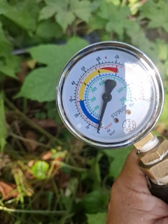 ไฟล์แนบ การประปาส่วนภูมิภาคสาขากาญจนดิษฐ์ ภายใต้การบริหารงานโดย นายสานิษ กาญจนกุล ผู้จัดการการประปาส่วนภูมิภาคสาขากาญจนดิษฐ์ มอบหมายพนักงานในสังกัด ดำเนินการตรวจวัดแรงดันน้ำ โดยลงพื้นที่สถานีจ่ายน้ำสะพานดิน บริเวณบ้านผู้ใช้น้ำ หมู่ 2 ตำบลทุ่งกง อำเภอกาญจนดิษฐ์ จังหวัดสุราษฎร์ธานี