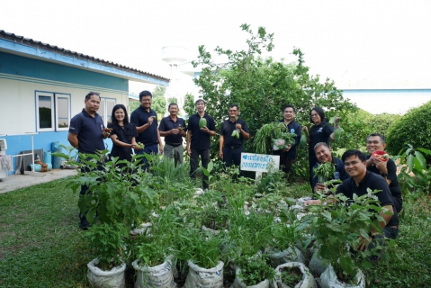 ไฟล์แนบ กปภ.สาขาปักธงชัย ใจดี! จัดกิจกรรม "แจกผักสดฟรี" เพียงโหลดแอปฯ PWA Plus Life หรือเพิ่มเพื่อน Line Official Account