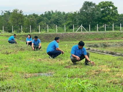 ไฟล์แนบ กปภ. สาขาพนมสารคาม จัดกิจกรรม ปลูกป่าเพื่อแผ่นดิน เทิดพระเกียรติในหลวงรัชกาลที่ 9 และวันต้นไม้ประจำปีของชาติ 2569