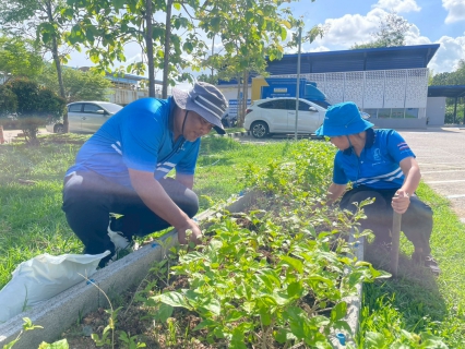 ไฟล์แนบ กปภ.สาขาหาดใหญ่ จัดกิจกรรม "ปลูกป่าเพื่อแผ่นดิน" เทิดพระเกียรติในหลวงรัชกาลที่ 9 และวันต้นไม้ประจำปีของชาติ 2569