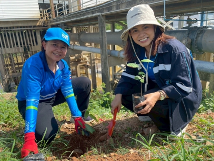 ไฟล์แนบ กปภ.สาขาหาดใหญ่ จัดกิจกรรม "ปลูกป่าเพื่อแผ่นดิน" เทิดพระเกียรติในหลวงรัชกาลที่ 9 และวันต้นไม้ประจำปีของชาติ 2569