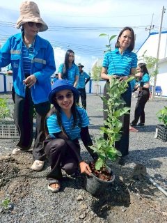 ไฟล์แนบ กปภ.สาขาธัญบุรี จัดกิจกรรมปลูกต้นไม้ ภายใต้โครงการ กปภ. ปลูกป่าเพื่อแผ่นดิน ฯ (Fathers Land) ประจำปี 2569