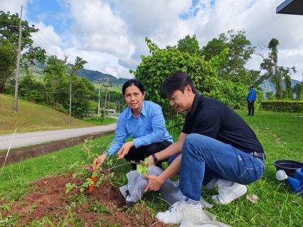 ไฟล์แนบ กปภ.สาขาภูเก็ต ดำเนินโครงการ กปภ.ปลูกป่าเพื่อแผ่นดิน เทิดพระเกียรติพระบาทสมเด็จพระบรมชนกาธิเบศร มหาภูมิพลอดุลยเดชมหาราช บรมนาถบพิตร (Fathers Land)  ปี 2569