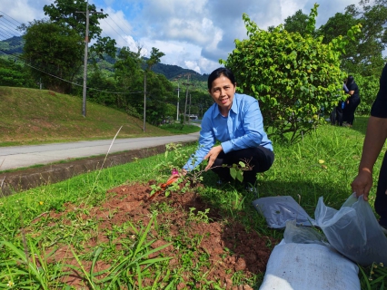 ไฟล์แนบ กปภ.สาขาภูเก็ต ดำเนินโครงการ กปภ.ปลูกป่าเพื่อแผ่นดิน เทิดพระเกียรติพระบาทสมเด็จพระบรมชนกาธิเบศร มหาภูมิพลอดุลยเดชมหาราช บรมนาถบพิตร (Fathers Land)  ปี 2569