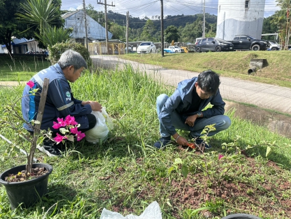 ไฟล์แนบ กปภ.สาขาภูเก็ต ดำเนินโครงการ กปภ.ปลูกป่าเพื่อแผ่นดิน เทิดพระเกียรติพระบาทสมเด็จพระบรมชนกาธิเบศร มหาภูมิพลอดุลยเดชมหาราช บรมนาถบพิตร (Fathers Land)  ปี 2569