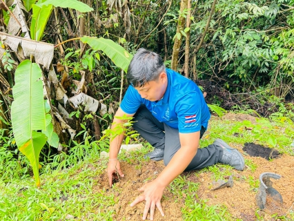 ไฟล์แนบ กปภ.สาขาตะกั่วป่า จัดกิจกรรมโครงการ กปภ.ปลูกป่าเพื่อแผ่นดิน เทิดพระเกียรติพระบาทสมเด็จพระบรมชนกาธิเบศร มหาภูมิพลอดุลยเดชมหาราช บรมนาถบพิตร (Fathers Land) ปี 2569